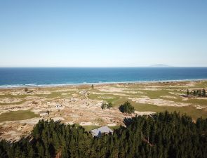 Tara Iti Aerial Trees